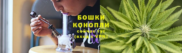 трава Богданович