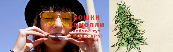 PSILOCYBIN Белоозёрский