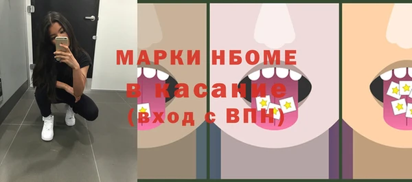 дмт Богородицк