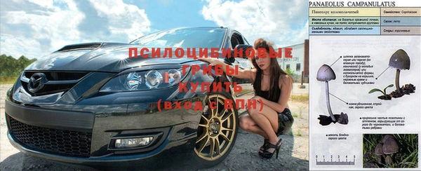 дмт Богородицк
